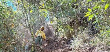 Após oito dias, incêndio no Parque Nacional do Itatiaia é extinto