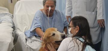 Cão-Terapia: Hospital dos Servidores do Estado recebe visita mensal de cães