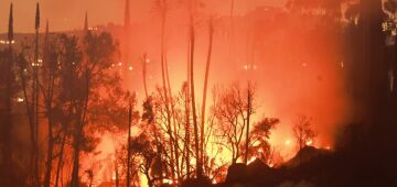 Incêndios não dão trégua no Brasil; entenda 