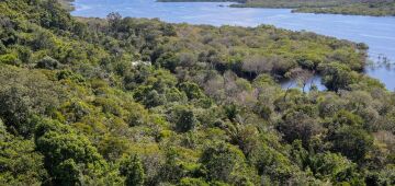 Organização Pan-Americana da Saúde terá projeto na Amazônia para evitar novas pandemias