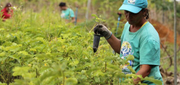 Clima: especialistas se reúnem e discutem respostas urgentes para o Nordeste