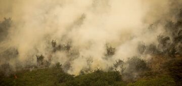 Pantanal tem este ano maior área queimada em junho