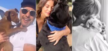 De Zezé di Camargo a Taylor Swift: veja animais que foram adotados por famosos