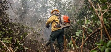 Dino manda governo ampliar combate ao fogo na Amazônia e no Pantanal