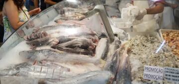 Semana do pescado pretende aumentar consumo do produto em 30%