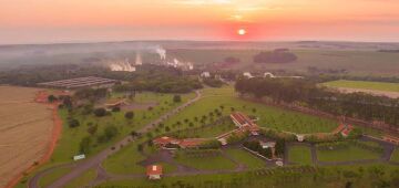 Usina em São Paulo oferece recompensa de R$ 20 mil por informações sobre incêndios em canaviais