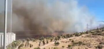 Incêndios florestais e grandes inundações: França, Áustria e Turquia enfrentam desastres naturais