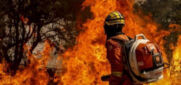 Bombeiros do DF apagam incêndio em área de nascente do Lago Paranoá
