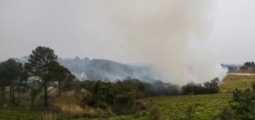 Barroso culpa desmonte de órgãos de proteção ambiental e seca sem precedentes por queimadas