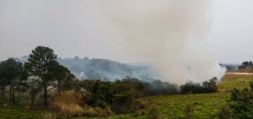 Climatempo: frente fria reduz focos de fogo em SP, mas calor pode intensificá-los novamente