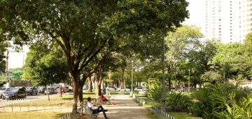 Trecho da Praça de Casa Forte, Zona Norte do Recife, é fechado para obra; veja esquema de trânsito