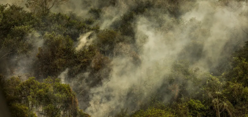 Rondônia declara situação de emergência por incêndios florestais