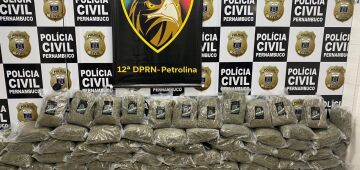 Polícia apreende carga de 94 kg de maconha chilena, avaliada em R$ 300 mil, em Petrolina