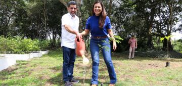 Com dois viveiros, Compesa irá doar mudas para o programa Plantar Juntos