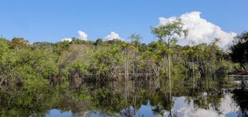 Nível do Rio Negro sobe, mas estiagem ainda não acabou no Amazonas