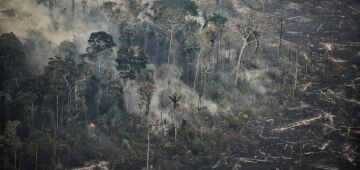 Cerca de 50 incêndios florestais assolam a selva e os Andes no Peru