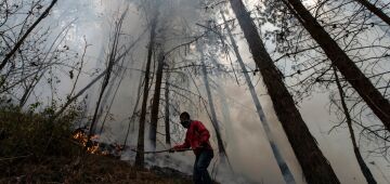 Incêndios florestais na Colômbia continuam fora de controle e devastam 9 mil hectares