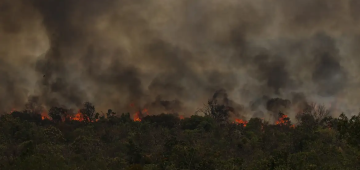 Área queimada cresce 150% até setembro ante 2023, aponta MapBiomas