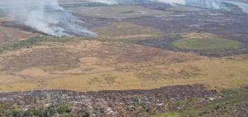 Emissão de gases por incêndios é recorde em dois estados; saiba quais