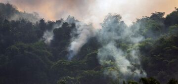 Seca e incêndios incomuns preocupam setor agrícola no Brasil