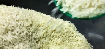 Conab vai doar sementes de arroz para agricultores familiares do RS