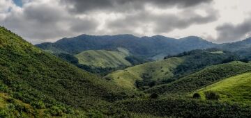 Operação contra o desmatamento da Mata Atlântica começa em 17 estados