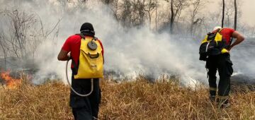 Queimadas: governo precisa 'sair do discurso e começar a agir', diz especialista