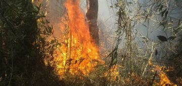 União de esforços busca conter incêndio na Serra dos Órgãos, no Rio