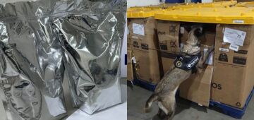 Cocaína declarada como suplemento alimentar é achada por agente canina em encomendas nos Correios