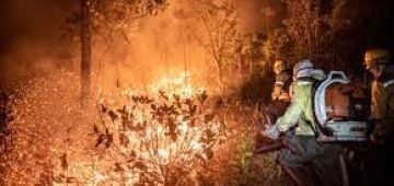 Os incêndios já afetam e prejudicam 11 milhões de pessoas no Brasil. Confira

