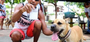 Prefeitura do Recife promove vacinação de cães e gatos em comemoração ao Dia Mundial Contra Raiva