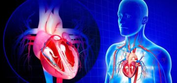 Infarto e parada cardíaca não são a mesma coisa; especialistas ensinam como diferenciá-los