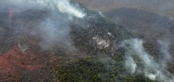 Incêndio florestal no Parque Nacional de Brasília está controlado