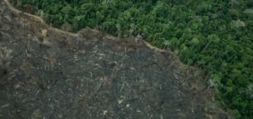 Terra Indígena Karipuna de Rondônia tem cenário de incêndio e seca