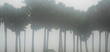 Furacão Milton causa estragos em Clearwater, na Flórida