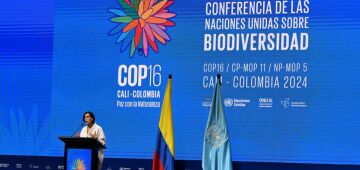 Tensão marca reta final da COP16, em Cali