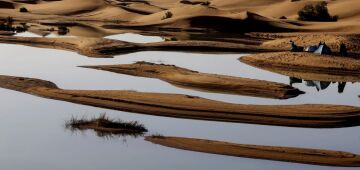 Chuvas torrenciais dão vida ao deserto do Saara no Marrocos