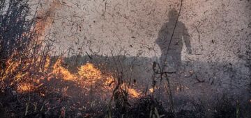 Focos de incêndios no Brasil já são 76% maior que em 2023