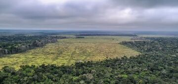 Amazônia: governo federal destinará R$ 700 mi para combater desmatamento e recuperar áreas