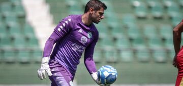 Náutico: com liberação do Guarani, Timbu assina pré-contrato com o goleiro Douglas Borges