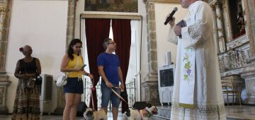 Dia de São Francisco de Assis é marcado por Bênçãos dos Animais e exames gratuitos para pets