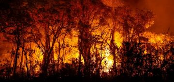 PF investiga incêndios criminosos no Pantanal