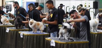 Centro de Convenções recebe evento voltado para o mercado pet em novembro