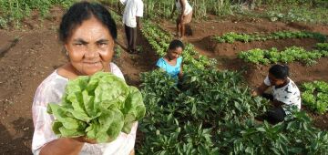 Pernambuco Agroecológico beneficiará 13 mil famílias rurais