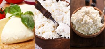 Mussarela, cottage ou ricota: qual o queijo mais rico em proteínas?