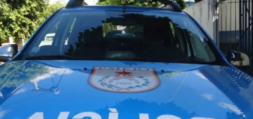 Crueldade no tráfico de animais silvestres no Rio: criminosos forçavam nascimento abrupto 