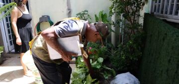 Dia D combate focos de mosquito da dengue em todo o país