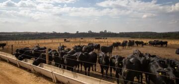IBGE espera aprovação de R$ 700 mi para preparar em 2026 coleta de 2027 do atrasado Censo Agro