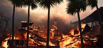 "Perdemos tudo": poderosos incêndios florestais em Los Angeles deixam desolação