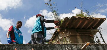 Saúde reforça monitoramento e ações de controle da dengue em 4 estados